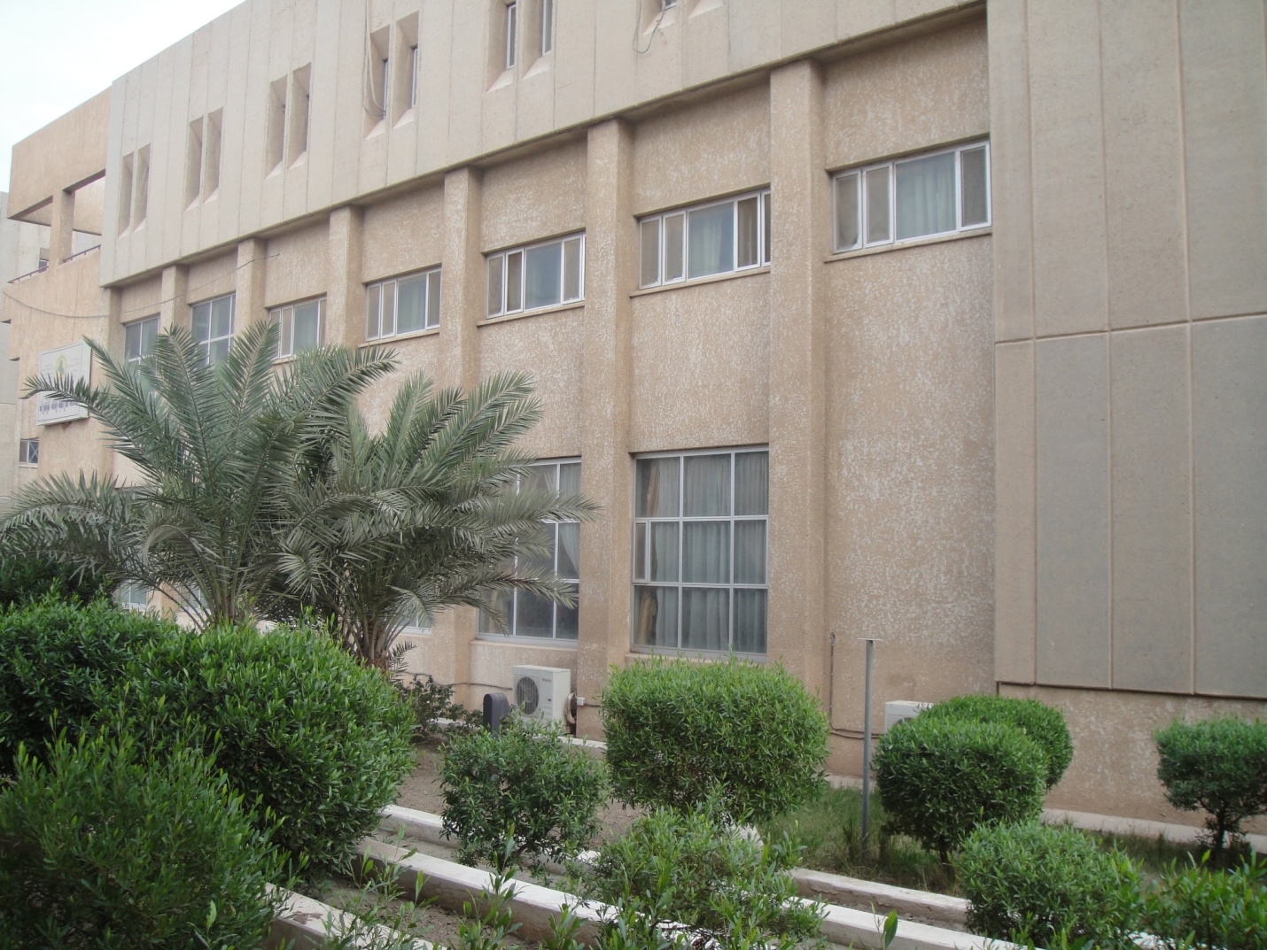 صور داخل الكلية