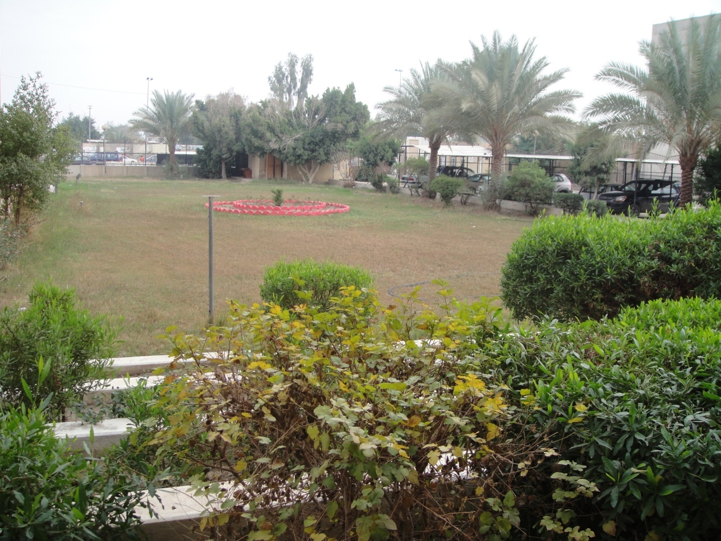 صور داخل الكلية