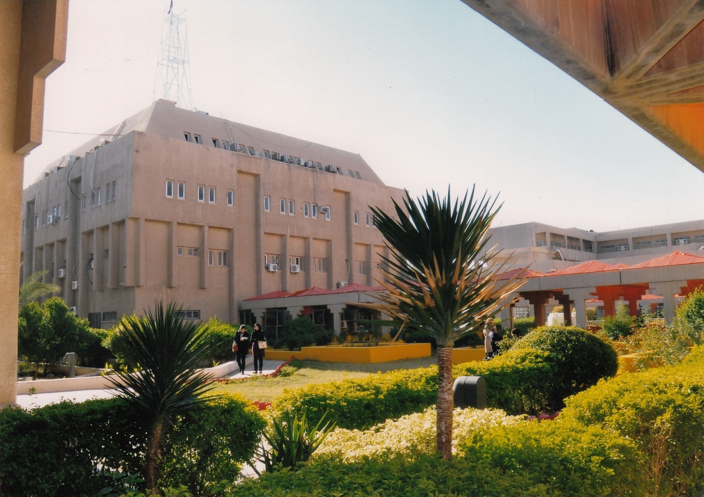 صور داخل الكلية