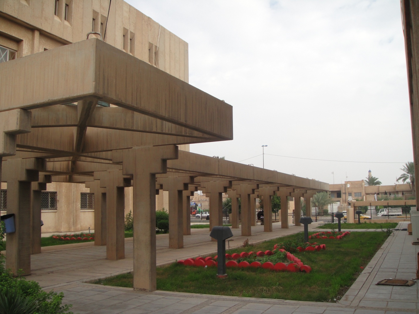 صور داخل الكلية