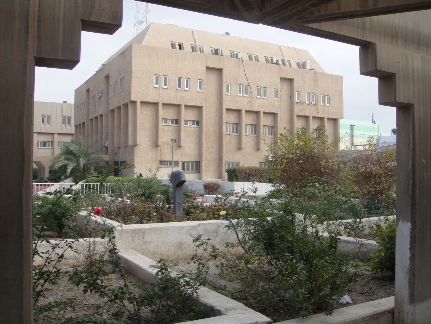 صور داخل الكلية