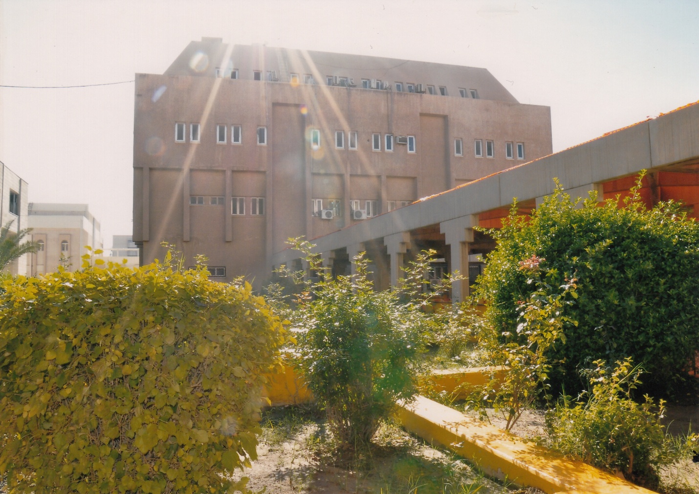 صور داخل الكلية