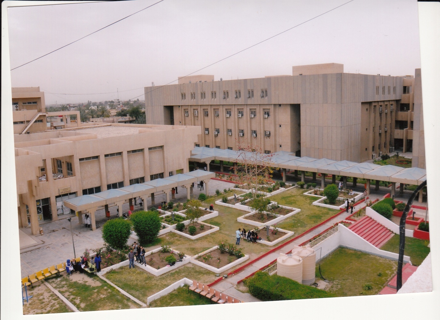 صور داخل الكلية