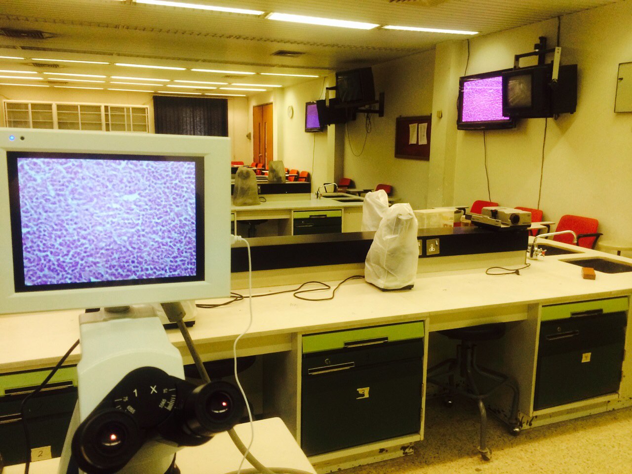 مختبر علم الأمراض