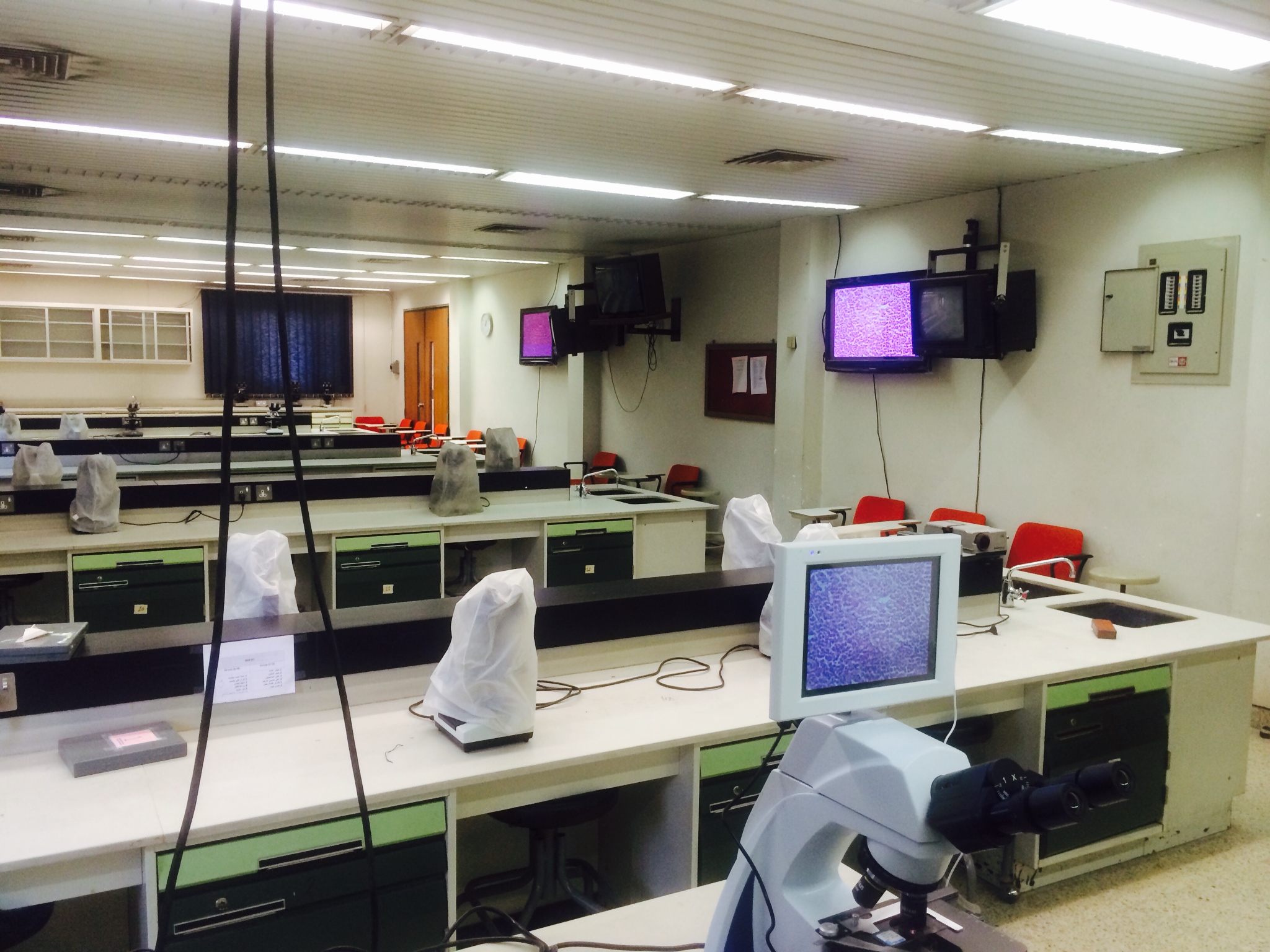 صور مختبر علم الأمراض