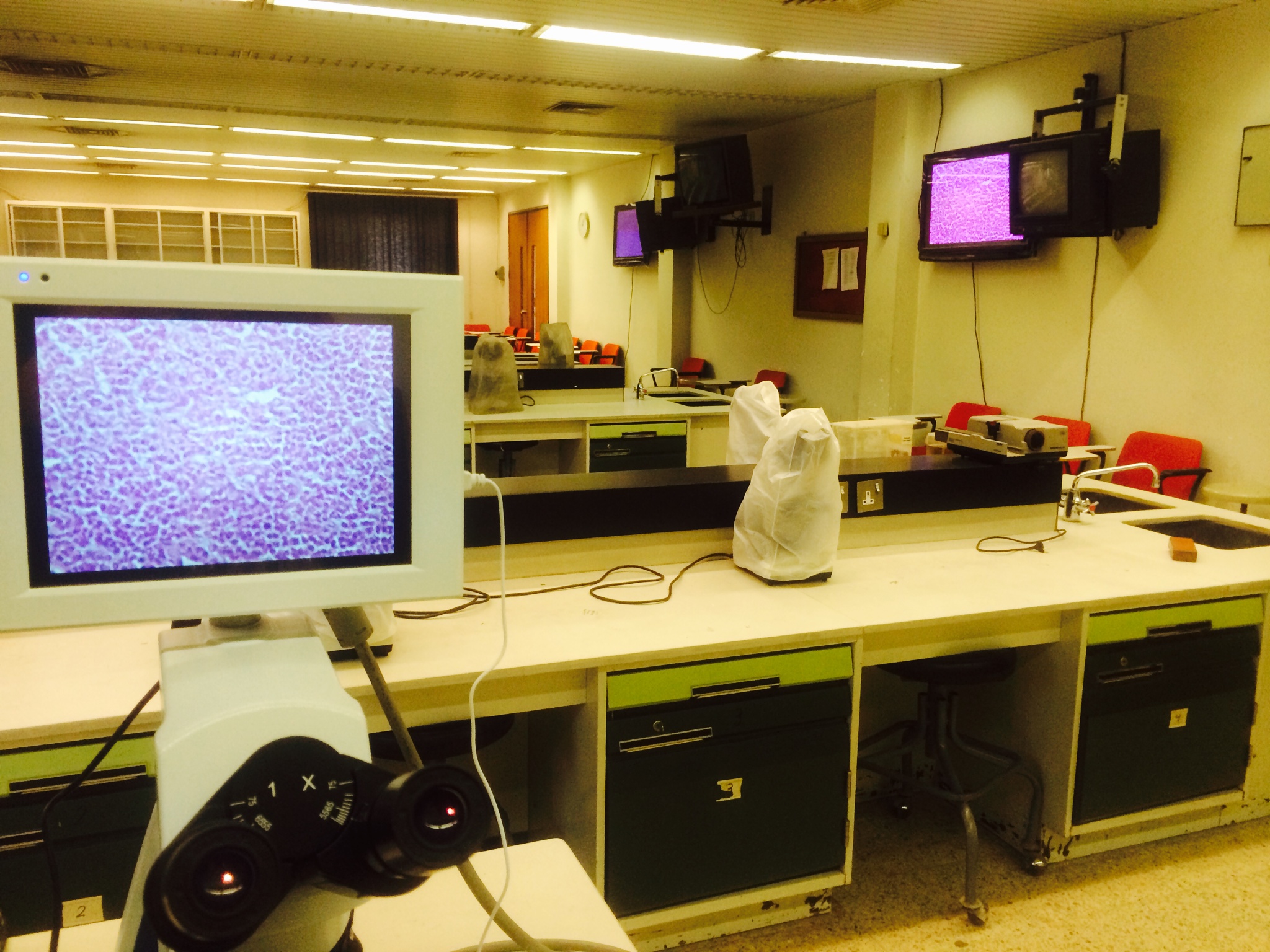 صور مختبر علم الأمراض