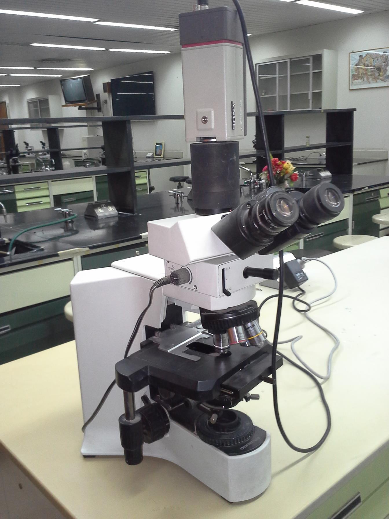 مختبر الاحياء المجهرية