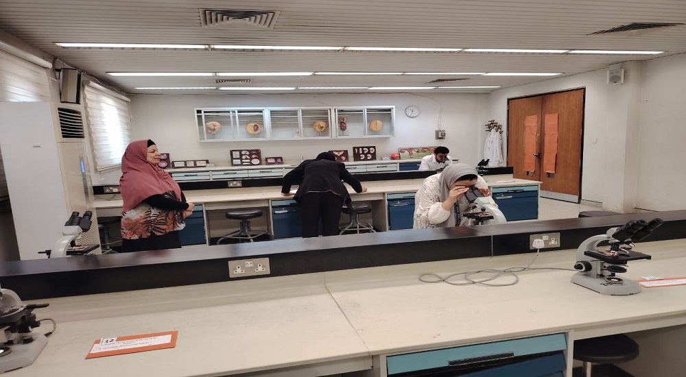 The practical exam for the second attempt - first semester, was conducted for postgraduate students in the subject of Histology.