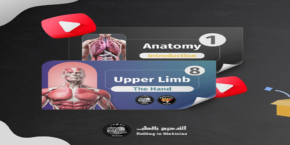 Create an educational channel on YouTube