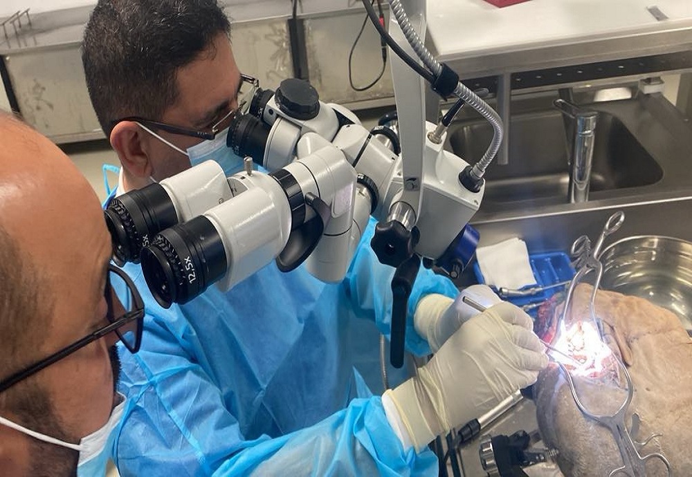 Professor Dr. Ihsan Sobhi Al-Baldawi's participation in a workshop on Skull Base Surgery in Amman.