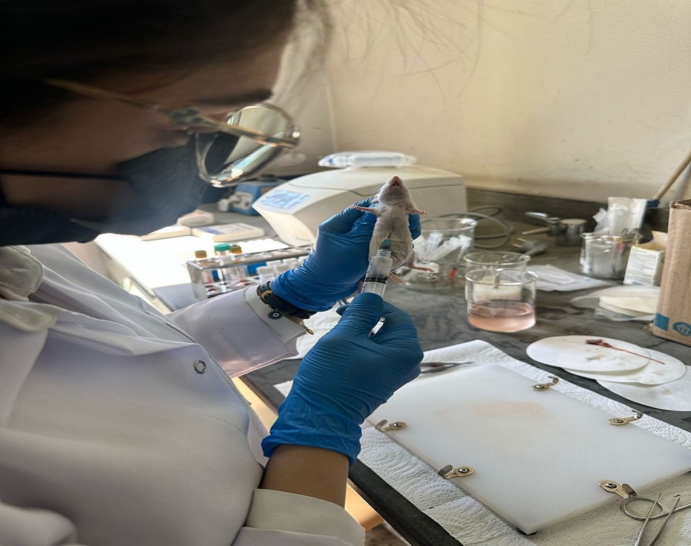 The Department of Pharmacology at Al-Nahrain College of Medicine continues its research efforts in developing new treatments for chronic diseases.