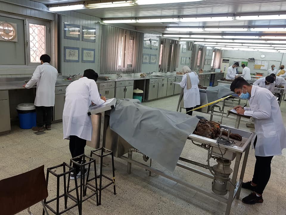 An exam for the human anatomy branch