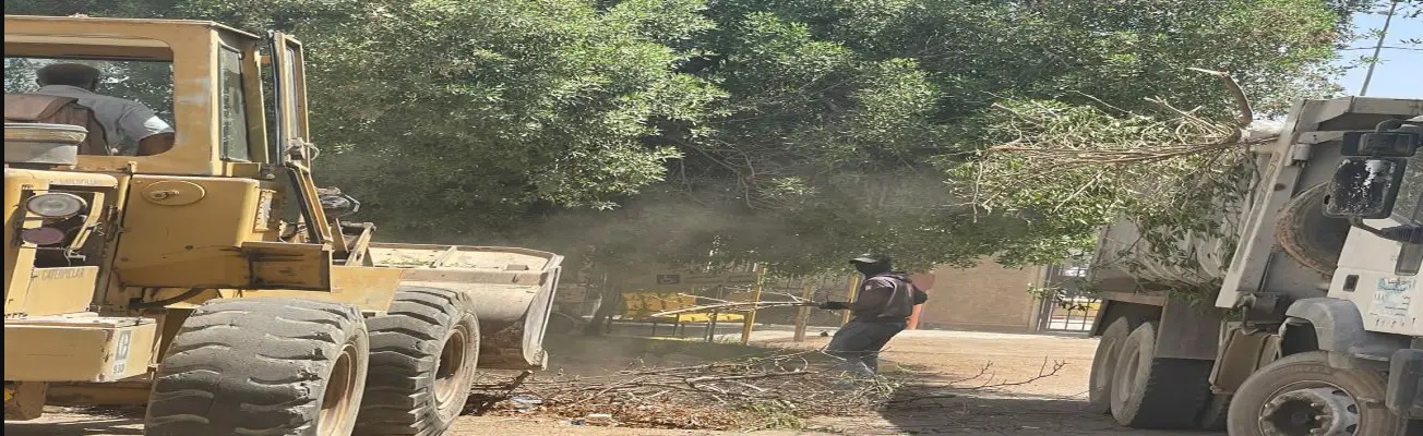 The College of Medicine at Al-Nahrain University has begun maintenance, renovation, and development works for several facilities and corridors within the college.