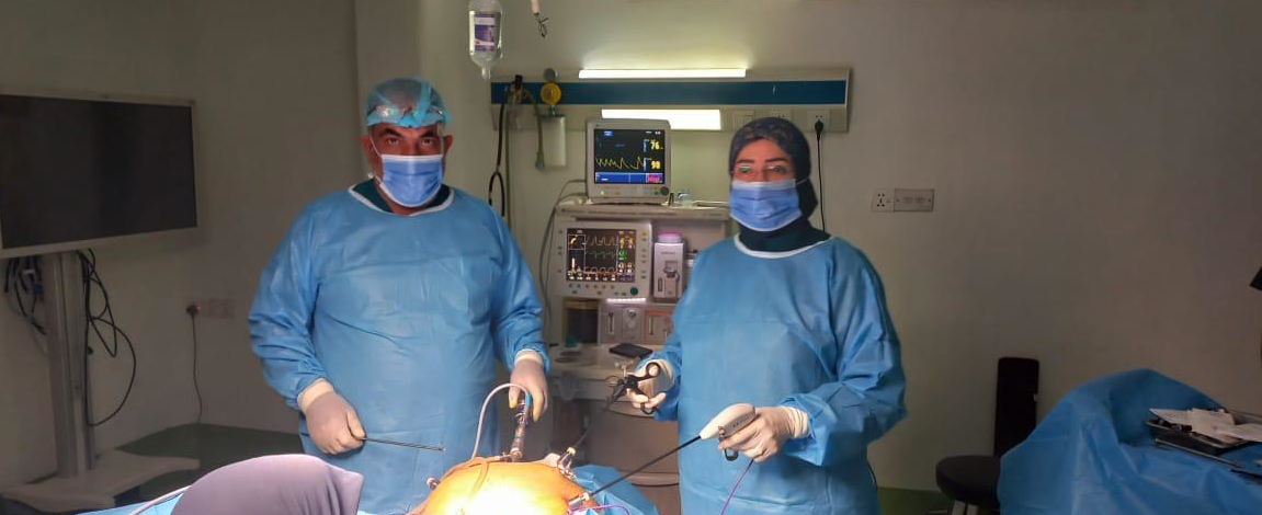 Laparoscopic hysterectomy and oophorectomy performed by Prof. Dr. Inas Adnan