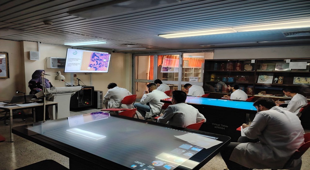 The final exam for the histology course in the human anatomy branch