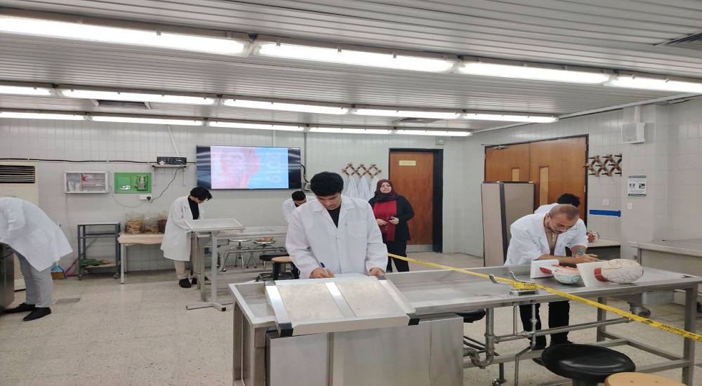 Final practical anatomy exam