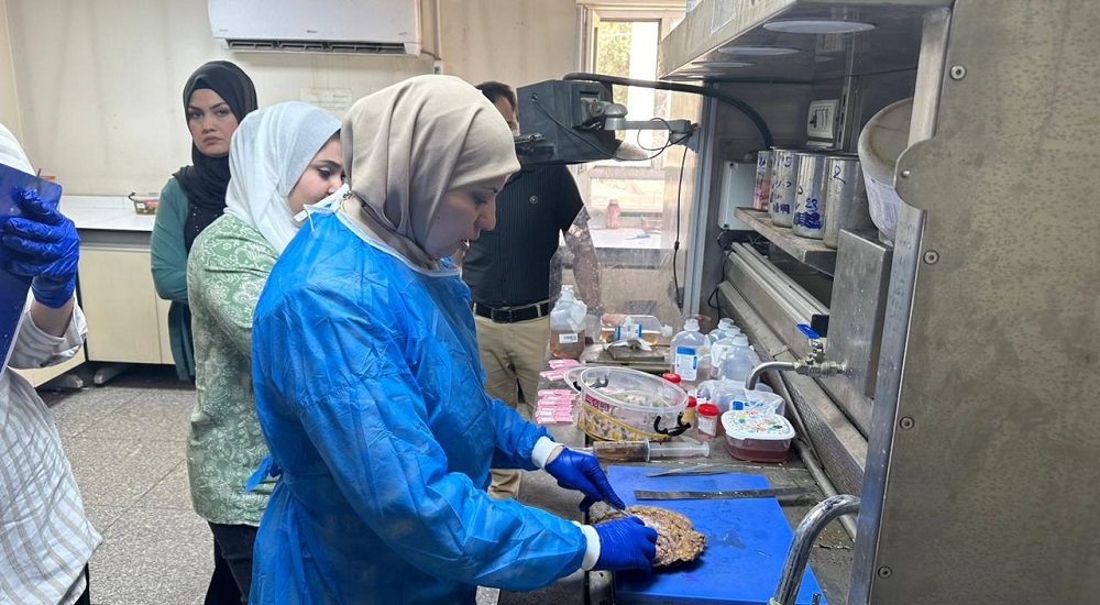 Training of Iraqi and Arab board students by Dr. Rafah Al-Khatib in the Pathology and Forensic Medicine Department.