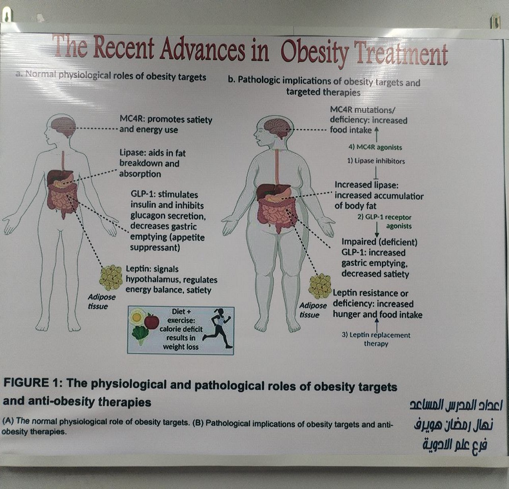 An extracurricular activity (creating a poster) was conducted to raise awareness about obesity prevention and treatment.